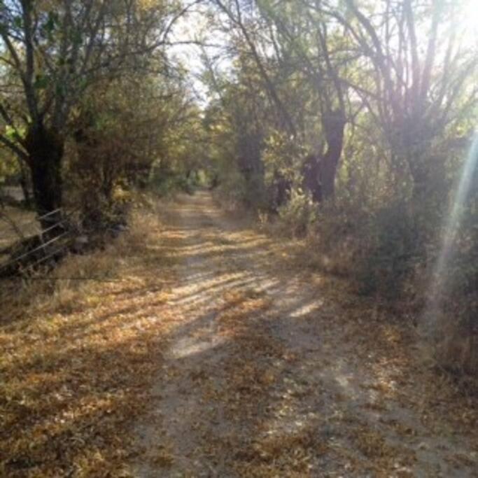 Casa Rural La Fresneda De Tenzuela Segovia Bagian luar foto