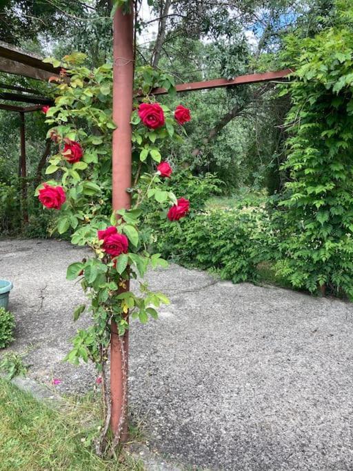 Casa Rural La Fresneda De Tenzuela Segovia Bagian luar foto