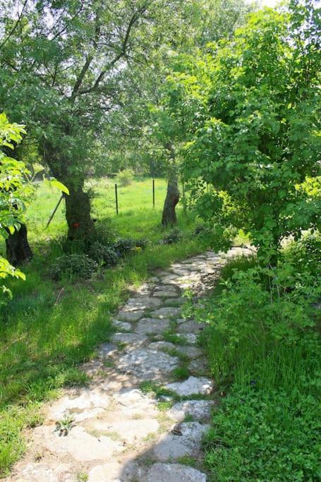 Casa Rural La Fresneda De Tenzuela Segovia Bagian luar foto