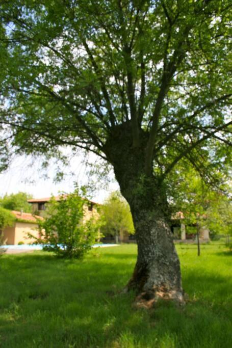 Casa Rural La Fresneda De Tenzuela Segovia Bagian luar foto