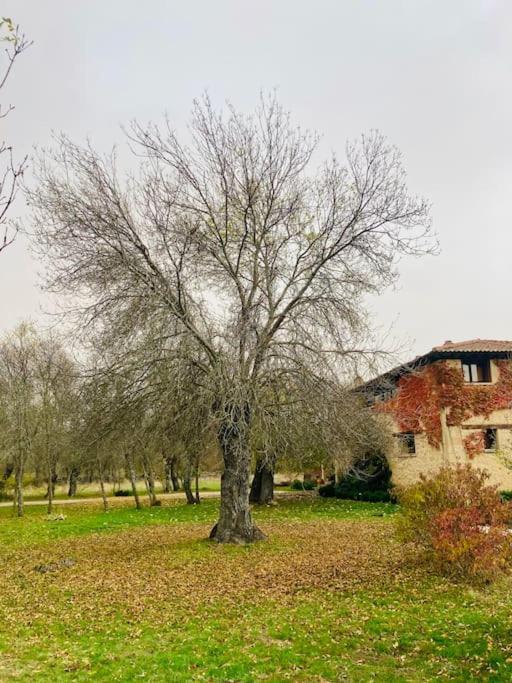 Casa Rural La Fresneda De Tenzuela Segovia Bagian luar foto