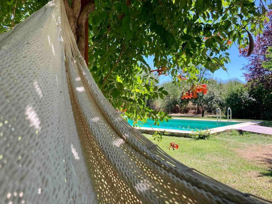 Casa Rural La Fresneda De Tenzuela Segovia Bagian luar foto